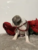 processed/3f9faa23-7158-4592-91fc-ffb0d48c3400/listing/1b5fc223-b677-473c-98d8-f44b7fe8490d/4207a480-e7a6-44e8-aca4-b402cf053120