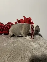 processed/3f9faa23-7158-4592-91fc-ffb0d48c3400/listing/1b5fc223-b677-473c-98d8-f44b7fe8490d/a84fc1d7-e5bb-4dae-a159-d3c6229845f4