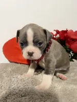 processed/3f9faa23-7158-4592-91fc-ffb0d48c3400/listing/36872186-05d0-4bab-af5c-29b8d7579f62/0295d656-2fff-46ff-98f1-ac5d386a1e8d