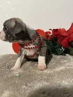 processed/3f9faa23-7158-4592-91fc-ffb0d48c3400/listing/36872186-05d0-4bab-af5c-29b8d7579f62/4e7582c0-4da1-4be8-9168-612874201bb3