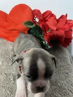 processed/3f9faa23-7158-4592-91fc-ffb0d48c3400/listing/36872186-05d0-4bab-af5c-29b8d7579f62/a5db4ebd-6fa5-40e8-b16f-e03b12265ef2