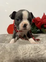 processed/3f9faa23-7158-4592-91fc-ffb0d48c3400/listing/a82d1d00-8102-4c24-bed3-ded10878db60/127479a8-51ae-49a2-aaee-099f36b6f7c0