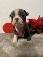 processed/3f9faa23-7158-4592-91fc-ffb0d48c3400/listing/a82d1d00-8102-4c24-bed3-ded10878db60/a324377e-554a-4098-8d21-614cea33bfaa