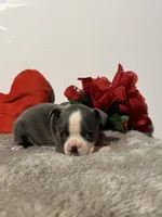 processed/3f9faa23-7158-4592-91fc-ffb0d48c3400/listing/a82d1d00-8102-4c24-bed3-ded10878db60/ce1c8fba-b94f-477f-8baf-becd3e62ce34