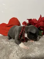 processed/3f9faa23-7158-4592-91fc-ffb0d48c3400/listing/a82d1d00-8102-4c24-bed3-ded10878db60/f891f847-948c-4657-a8d6-432eb5be3c18