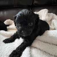 processed/3fae0363-99fb-4b2d-80f2-c7f6456e51cf/facility/1e4c5440-bba3-421f-922c-d74586dfcc8f