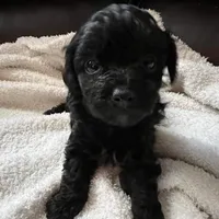 processed/3fae0363-99fb-4b2d-80f2-c7f6456e51cf/facility/32a96a92-8513-4f6f-832d-11779f4f125e