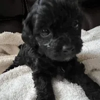 processed/3fae0363-99fb-4b2d-80f2-c7f6456e51cf/facility/35559822-8177-4033-bd42-5bd358ea0f64