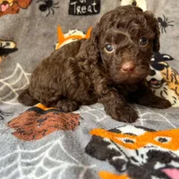 processed/3fae0363-99fb-4b2d-80f2-c7f6456e51cf/facility/396d47bc-482b-4c83-afb6-3bd71ea34f17