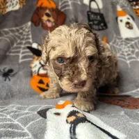 processed/3fae0363-99fb-4b2d-80f2-c7f6456e51cf/facility/41964c59-f701-493d-b0d8-3165ee256d6c