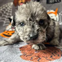 processed/3fae0363-99fb-4b2d-80f2-c7f6456e51cf/facility/6e32d5be-4bad-4aab-82e9-9e02054a96df