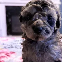 processed/3fae0363-99fb-4b2d-80f2-c7f6456e51cf/facility/aa69a231-dd01-4d24-9dd9-9ac794cf439e