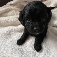 processed/3fae0363-99fb-4b2d-80f2-c7f6456e51cf/facility/ff16f736-8a1a-4f64-ba51-50c7bc280f43