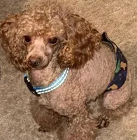 processed/3fae0363-99fb-4b2d-80f2-c7f6456e51cf/listing/1ad2a9c9-2e62-4335-b5b7-d4b0d2bf6d47/07cfc6af-e039-456e-990a-770678cc4dda