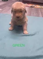 processed/3fb37560-13c1-4a58-9ff4-96a27b8ca840/listing/2fee84d8-fa0c-4b3e-9bf9-2068427e8c78/d4b54e8a-7c33-4707-bc6e-61692c49be44