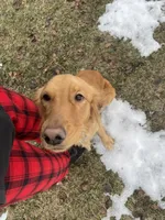 processed/3fb37560-13c1-4a58-9ff4-96a27b8ca840/listing/2fee84d8-fa0c-4b3e-9bf9-2068427e8c78/e92ff2ca-3e53-4bae-81b8-4e152ac15ef5