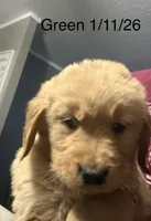 processed/3fb37560-13c1-4a58-9ff4-96a27b8ca840/listing/2fee84d8-fa0c-4b3e-9bf9-2068427e8c78/ed19b5cf-1020-45f5-b357-fad72d06dc7d