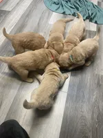 processed/3fb37560-13c1-4a58-9ff4-96a27b8ca840/listing/2fee84d8-fa0c-4b3e-9bf9-2068427e8c78/eef53386-e608-4f28-a14b-bccddf4ce12f