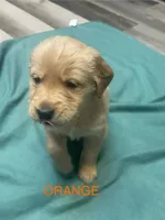 processed/3fb37560-13c1-4a58-9ff4-96a27b8ca840/listing/a7ec5dcc-1808-4d11-9640-75da9804c7ec/a0982c54-2a7f-46a9-b597-87011ad654af