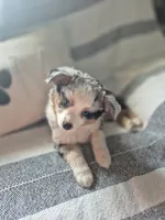 processed/3fb487d4-0bd0-4f22-b66c-f7e3d3e71638/listing/dc7d9165-bd48-41a3-b87a-eedcbb4b037f/ce68377f-d30b-4fb3-8164-8c20c76c3479