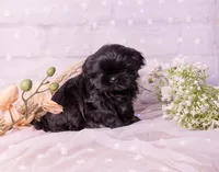 processed/3fb6397a-677a-4f6d-a6ab-8218444d58d9/listing/1f015721-a695-4300-919f-f989d7a816e8/0787f427-6b55-4a6a-bbc7-a74a6b8b4834