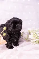 processed/3fb6397a-677a-4f6d-a6ab-8218444d58d9/listing/1f015721-a695-4300-919f-f989d7a816e8/2f4b7f8b-e256-46ea-a67d-26d9e106d7ef