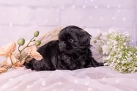 processed/3fb6397a-677a-4f6d-a6ab-8218444d58d9/listing/1f015721-a695-4300-919f-f989d7a816e8/837680fa-5730-4a8e-87c2-19569ed3a4cb