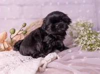 processed/3fb6397a-677a-4f6d-a6ab-8218444d58d9/listing/1f015721-a695-4300-919f-f989d7a816e8/94fb5562-df89-462c-b631-954a723c2cba