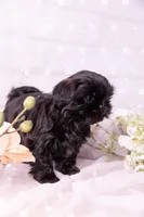 processed/3fb6397a-677a-4f6d-a6ab-8218444d58d9/listing/1f015721-a695-4300-919f-f989d7a816e8/bae068de-f8ae-4c6f-ac57-c8ef92b49eb9