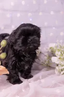 processed/3fb6397a-677a-4f6d-a6ab-8218444d58d9/listing/1f015721-a695-4300-919f-f989d7a816e8/c2573992-2fc1-40b2-afaf-f7051f9cc22b