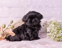 processed/3fb6397a-677a-4f6d-a6ab-8218444d58d9/listing/1f015721-a695-4300-919f-f989d7a816e8/e291e0cc-7d3e-4167-b51e-7c26d6f0cce8