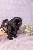 processed/3fb6397a-677a-4f6d-a6ab-8218444d58d9/listing/1f015721-a695-4300-919f-f989d7a816e8/ed56d2d4-656b-4254-b946-60a76dee5896