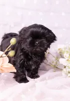 processed/3fb6397a-677a-4f6d-a6ab-8218444d58d9/listing/1f015721-a695-4300-919f-f989d7a816e8/efa866fa-c11d-4fe1-9821-ba045ba47c3d