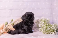 processed/3fb6397a-677a-4f6d-a6ab-8218444d58d9/listing/1f015721-a695-4300-919f-f989d7a816e8/f83893c4-6dc6-489a-b3f6-2f0453fd8cc9