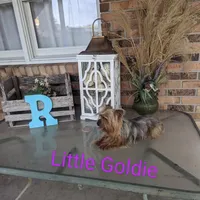 processed/3fbb5a0a-7b7b-40ce-a6ad-c83e2a211d98/facility/aee90902-97ea-4567-8495-4b8f5418b96e