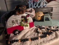 Tank, a male Yorkshire Terrier for sale in Loogootee, IN – Photo 3 of 10