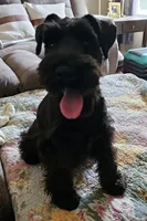 processed/3fbcfb1a-2ae4-4db7-964f-156035c87262/facility/02ce81f4-fd68-49b2-a868-53271b0f75db