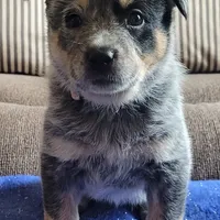 processed/3fbcfb1a-2ae4-4db7-964f-156035c87262/facility/0da1f3ad-569f-4cfa-a91f-2b42c5bf1a8b