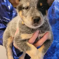 processed/3fbcfb1a-2ae4-4db7-964f-156035c87262/facility/1e42698c-78f1-4940-9b3d-5ca5065cb6f2