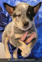 processed/3fbcfb1a-2ae4-4db7-964f-156035c87262/facility/1e42698c-78f1-4940-9b3d-5ca5065cb6f2