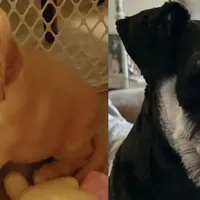 processed/3fbcfb1a-2ae4-4db7-964f-156035c87262/facility/60c643c9-dd77-47b0-8a4c-964d2e0a05bd