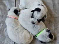 processed/3fbcfb1a-2ae4-4db7-964f-156035c87262/facility/6309065c-7360-41d1-97d8-73dc98f2751f