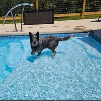 processed/3fbcfb1a-2ae4-4db7-964f-156035c87262/facility/71b691ea-85d6-4bf8-be53-bdc20efdf852