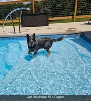 processed/3fbcfb1a-2ae4-4db7-964f-156035c87262/facility/71b691ea-85d6-4bf8-be53-bdc20efdf852