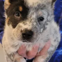 processed/3fbcfb1a-2ae4-4db7-964f-156035c87262/facility/a030cc30-53d2-44a4-92b0-c1ec28cbd9e2