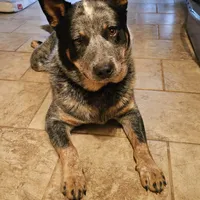 processed/3fbcfb1a-2ae4-4db7-964f-156035c87262/facility/aa6ce503-a99e-426e-a17f-59fd248d4135