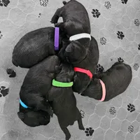 processed/3fbcfb1a-2ae4-4db7-964f-156035c87262/facility/d97c80a2-e836-403a-b535-c27a05e9ed99