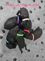 processed/3fbcfb1a-2ae4-4db7-964f-156035c87262/facility/d97c80a2-e836-403a-b535-c27a05e9ed99