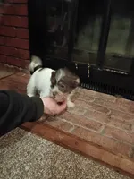 processed/3fc04fd1-20c8-4e67-828c-caa347dd8654/listing/041ec322-f82e-4f21-bd58-59e0545e8f94/25b7bad2-d200-4c95-9084-94cd464dc81f