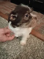 processed/3fc04fd1-20c8-4e67-828c-caa347dd8654/listing/041ec322-f82e-4f21-bd58-59e0545e8f94/2a35228c-34f5-4f47-946d-af96ea92f1c9